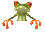 Frog 4