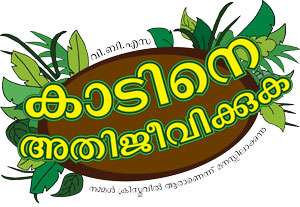Logo Surviving the Jungle VBS English