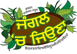 Logo "Surviving the Jungle"