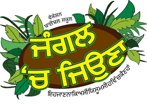 "ਜੰਗਲ ‘ਚ ਜਿਉਣਾ VBS" ਪੰਜਾਬੀ / Punjabi