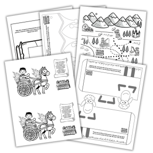 Manual del Director Camellos
